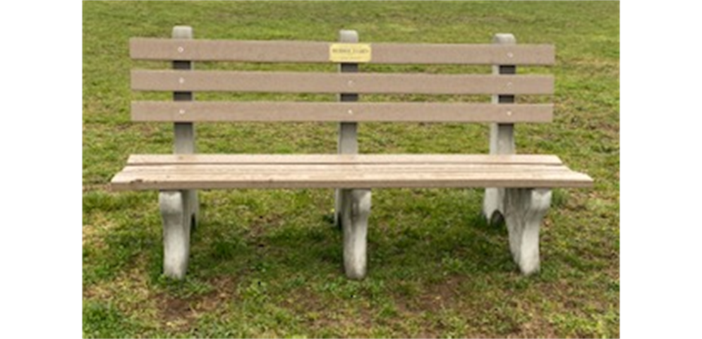 Debbie Zarin Memorial Bench